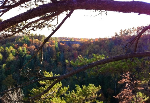 Natural Bridge State Park